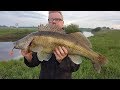 Der lange Weg zum ersten Zander mit Monkey Lures - Raubfischvideo 2017