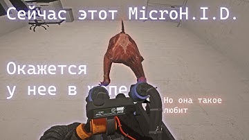 SCP:SL — как играть за собаку? | SCP-939: подробный гайд