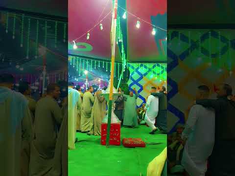 المصيبة ليست في ظلم الأشرار بل في صمت الأخيار  لايك اغاني تيك توك راشد محيسن العيادي