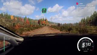 Dirt Rally 2.0.....Reverse entry