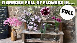 видео: Возможно ли, чтобы в октябре сад был полон цветов? Давайте выясним! картинка: Возможно ли, чтобы в октябре сад был полон цветов? Давайте выясним!