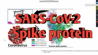 SARS-CoV-2 Spike protein ll CSIR-NET Life science ll xgene & proteinx