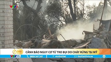 Cảnh báo nguy cơ từ tro bụi do cháy rừng tại Mỹ | VTVWDB