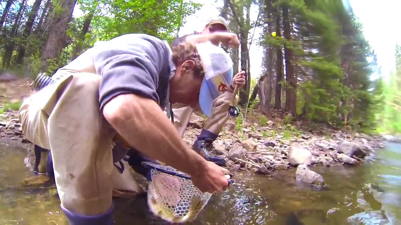 Fly Fishing on Colorado's Dolores River YouTube