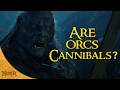 Are Orcs Cannibals? | Tolkien Explained