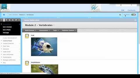 Creating Links Within Your Blackboard Course