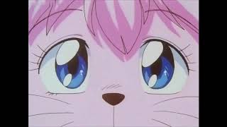 Animal And Human Transformation In Anime