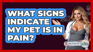 What Signs Indicate My Pet Is In Pain? - Ask A Pet Vet