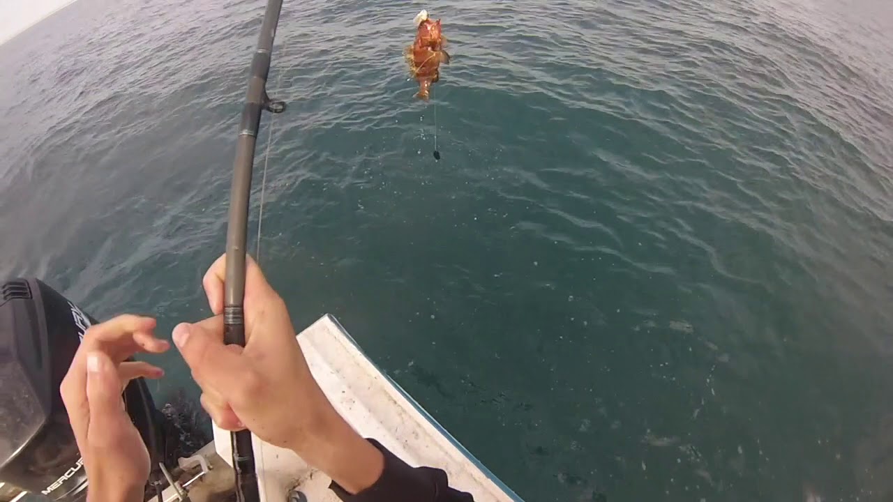 Fishing and Spearfishing Exmouth 2018 YouTube