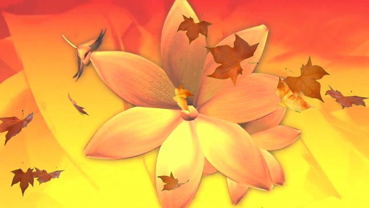 Free Video Background Flower Template No Text | Copyright Free Motion Graphic 