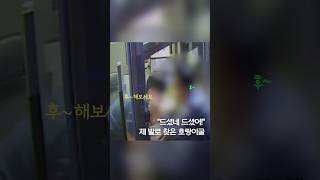 &quot;드셨네 드셨어!&quot;…제발로 찾은 호랑이굴 #shorts