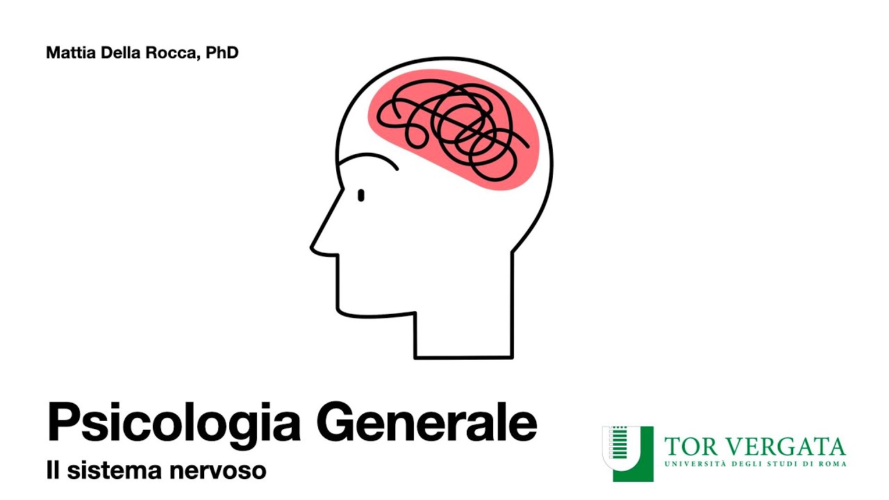 Psicologia Generale 22/23 - Il sistema nervoso