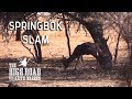 Springbok Hunting Safari | The High Road with Keith Warren