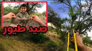 صيد الجزء 25 Pigeon hunting