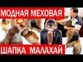 Зимняя шапка ушанка. ШАПКА МАЛАХАЙ. ПОШИВ ШАПКИ МАЛАХАЙ. ЧАСТЬ 3