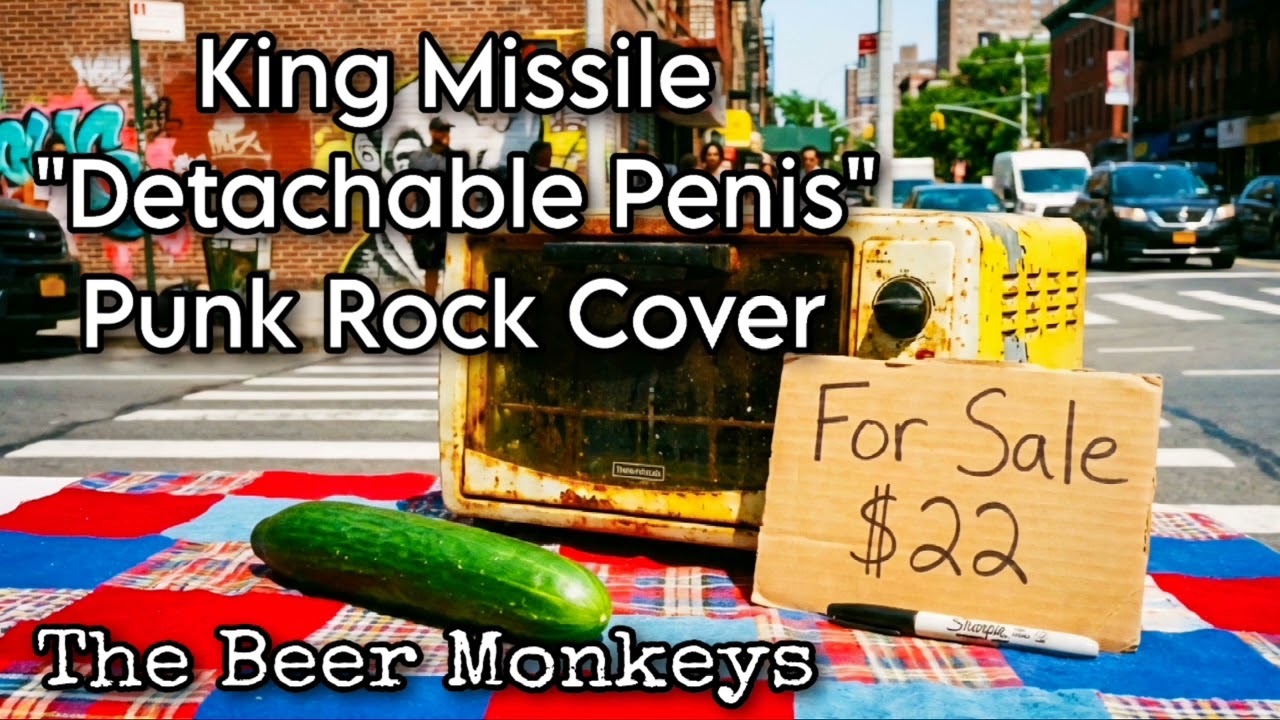"Detachable Penis" Punk Rock Cover 