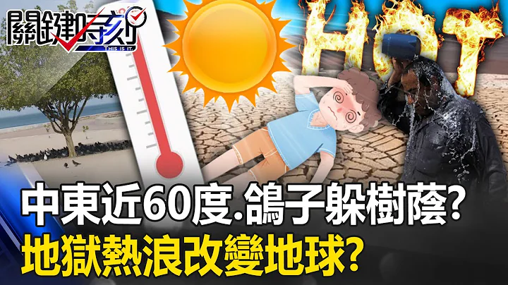 地獄熱浪改變地球「鴿子躲樹蔭求生」！？ 中東近60度…凌晨出門早上9點下班！【關鍵時刻】20230725-4 劉寶傑 黃世聰 林裕豐 王瑞德 鄭哲聖 吳子嘉 - 天天要聞