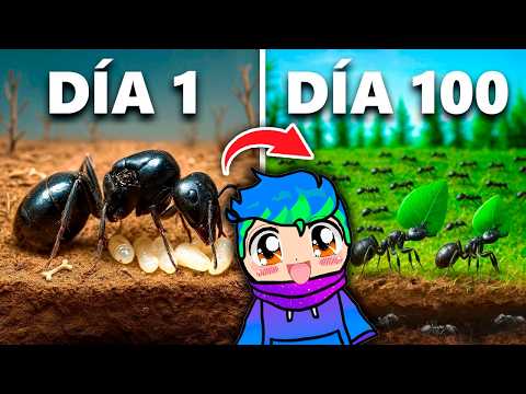 Simulando una Colonia de Hormigas Por 100 Días / Carlos Infinito REACCIONA TerraVerde Español