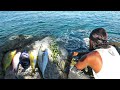 Rock fishing in Jamaica Catch N Cook amazing catch