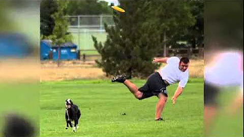 Davy Whippet & Frisbee Rob Shaw TV Profile