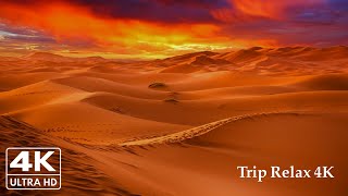 صوت رياح الصحراء  لتخفيف التوتر والاسترخاء | desert wind sound