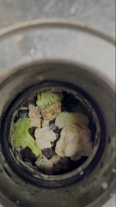 how-to-clean-your-garbage-disposal-youtube