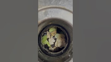 How To Clean Your Garbage Disposal