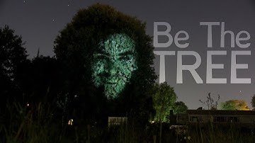 Be the Tree