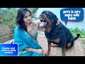 A day with Jerry and my wife sapna||best family and protection dog breed||rottweiler