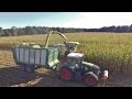 Maishäckseln 2016 | Krone BigX 1100 | Fendt | New Holland | LU Görries | GoPro | DJI