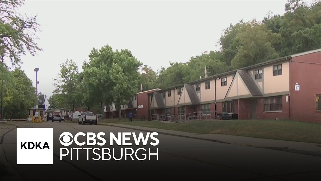 Videos of young men taping mice to fireworks in Pittsburgh neighborhood under investigation