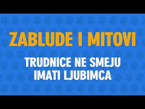 Video: Pitanja O Toksoplazmozi - Mjere Opreza Za Trudnice - Mačje Leglo - Mačji Izmet