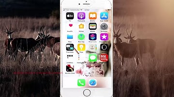 iPhone 7 : How to add or remove gesture move to top of container Voice Over command
