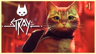 the adventures of ginger the cat!! || stray [part 1]