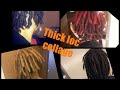 Years 1-3 of my thick loc journey  (pics & video clips)