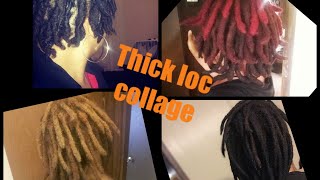 Years 1-3 of my thick loc journey  (pics & video clips)