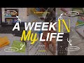 Last Exam Week of School Life 😭📚 | A Week in My Life | StudyFuel Purno