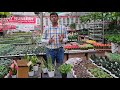 All about unboxing your plants  chhajedgardencom