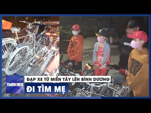 Video Học thử thách sinh tồn trên mạng, cậu bé rủ 3 bạn đạp... - youtube
