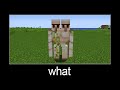 Minecraft wait what meme part 81 (double golem)