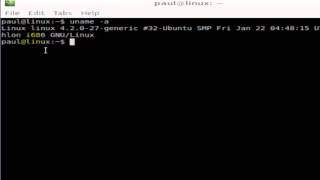 How to know 32 or 64 bit in Linux Mint