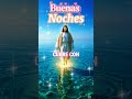 DIOS NO TE DEJA CAER 🙏❤🙏 #JESUS #LOVE #YOU #AMEN #LIKE #SHORTS #YOUTUBE #VIRAL 🌻💐🥀🕊📖🌾🌷⚘🌹