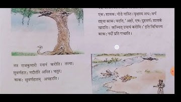 (8)  GSEB STD 6 SANSKRIT SEMESTER 1 CHAPTER 8 काकस्य चातुर्यम्