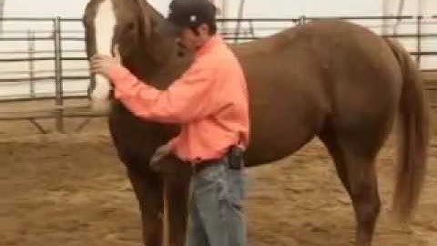 Worming the Difficult horse with Mike Hughes, Auburn California