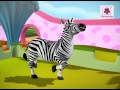 Zebra In The Zoo | 3D English Nursery Rhyme for Children | Periwinkle | Rhyme #73