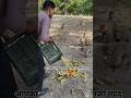 serving banana on Vandevi Temple Mau । Helping Video । Monkey #help #humanity #shorts