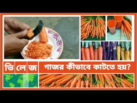 ভিডিও: গাজর কিভাবে কাটা হয়?