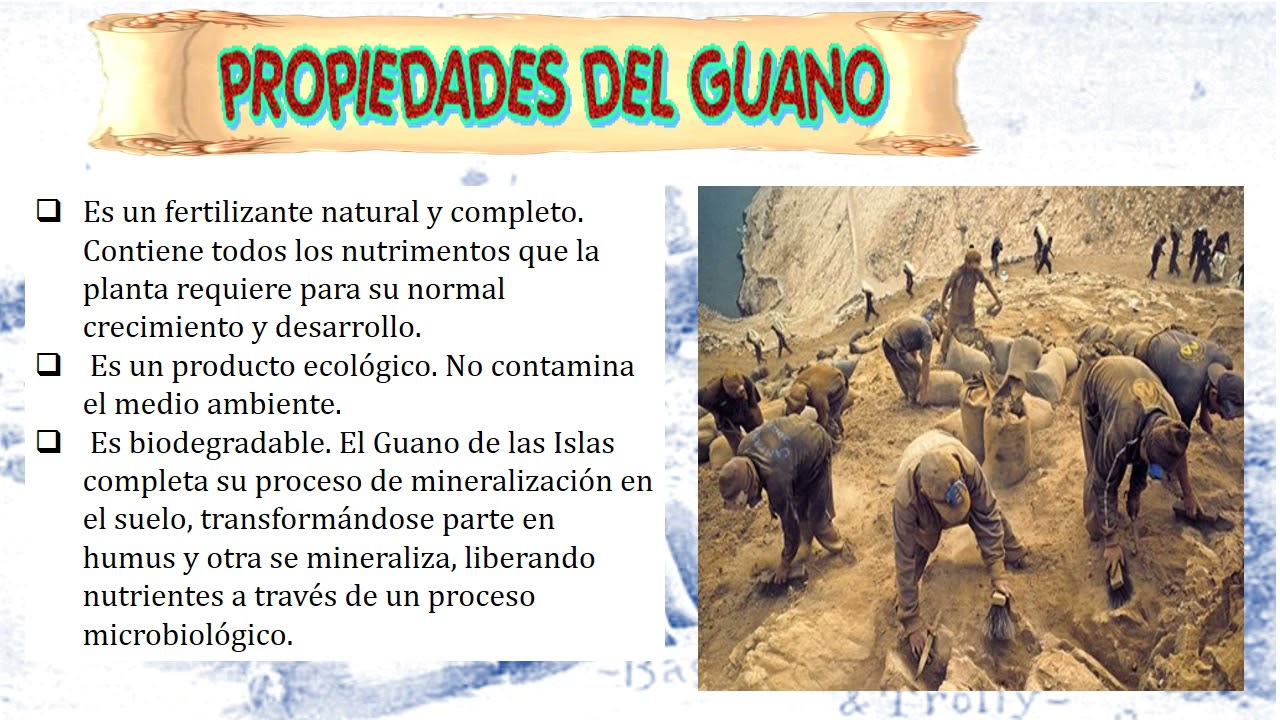 guano y salitre😲💕☹️ - YouTube