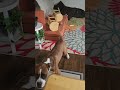 Vinny the Boxer dog goes crazy 🤪 #dogshorts