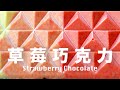 草莓巧克力片【凍乾甜心草莓粉】充滿仙氣的漸層嫩配色 Gradient PinkChocolate Freeze-dried Strawberry @beanpandacook